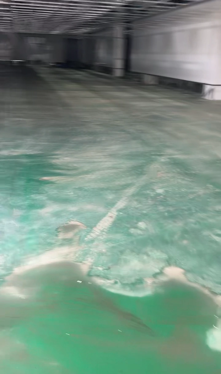 生物制药洁净生产中心聚氨酯砂浆地坪完工效果